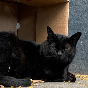 Meet your Posher, Hope